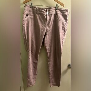 Torrid Plus Size Denim, 20 Regular